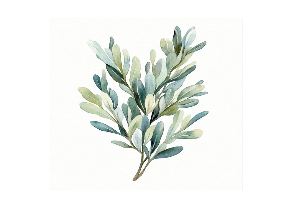 Eucalyptus and Sage Green Leaf Clipart Bundle