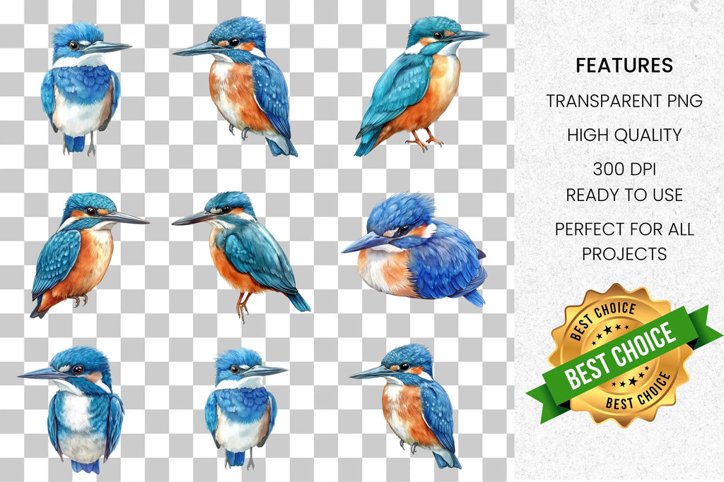 Kingfisher Birds Clipart Bundle
