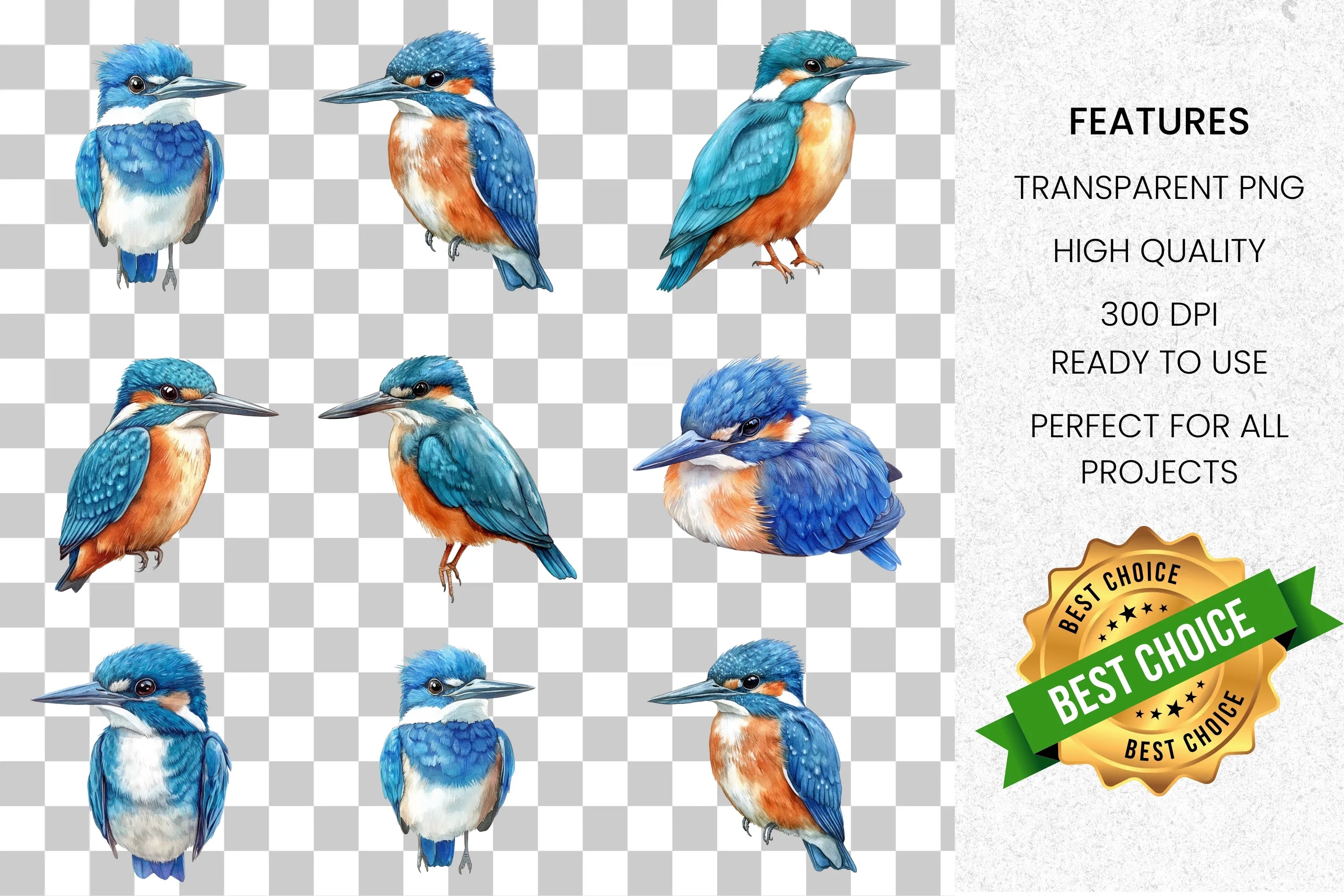 Kingfisher Birds Clipart Bundle