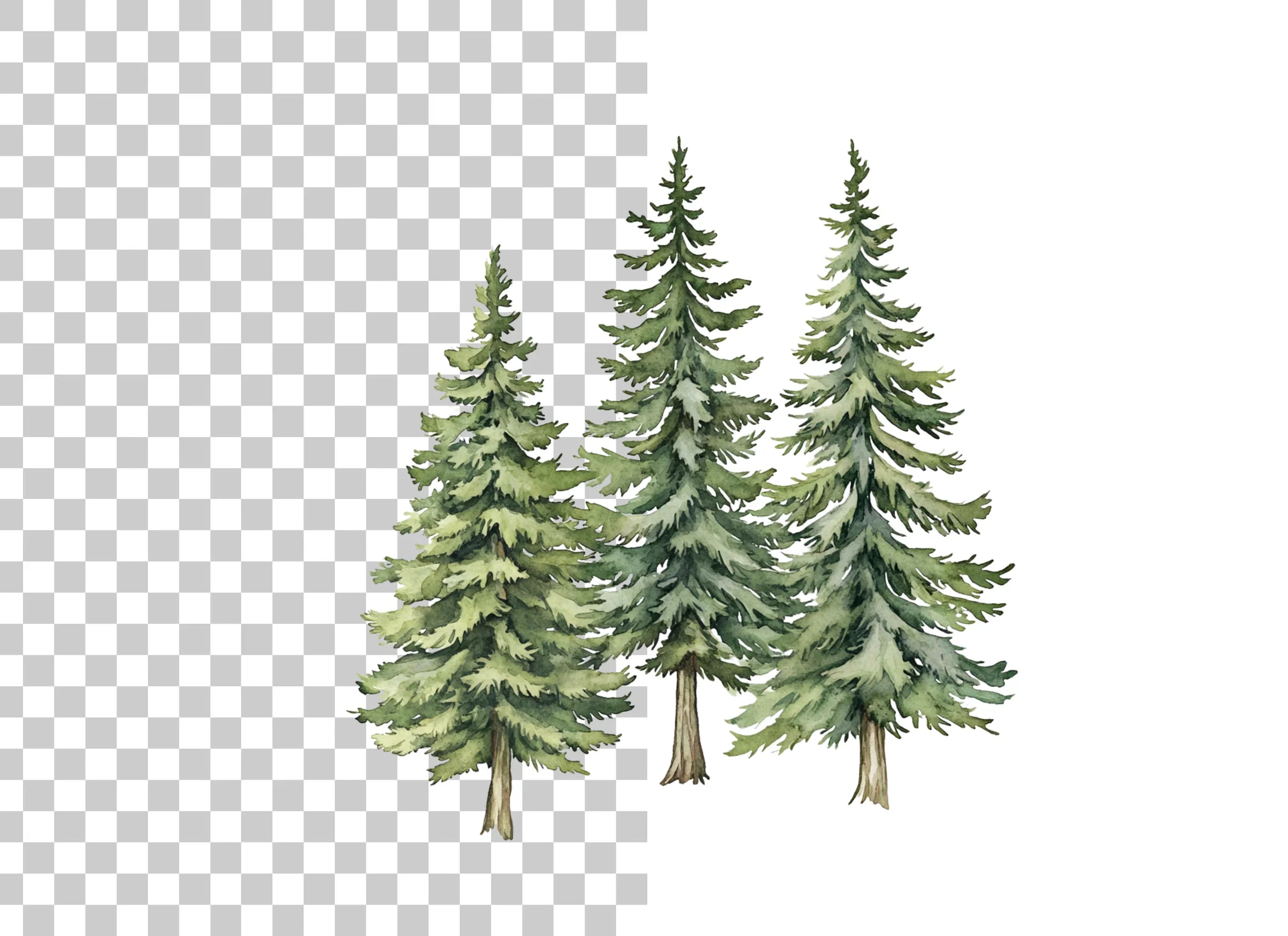 Pine Tree Forest Clipart Bundle