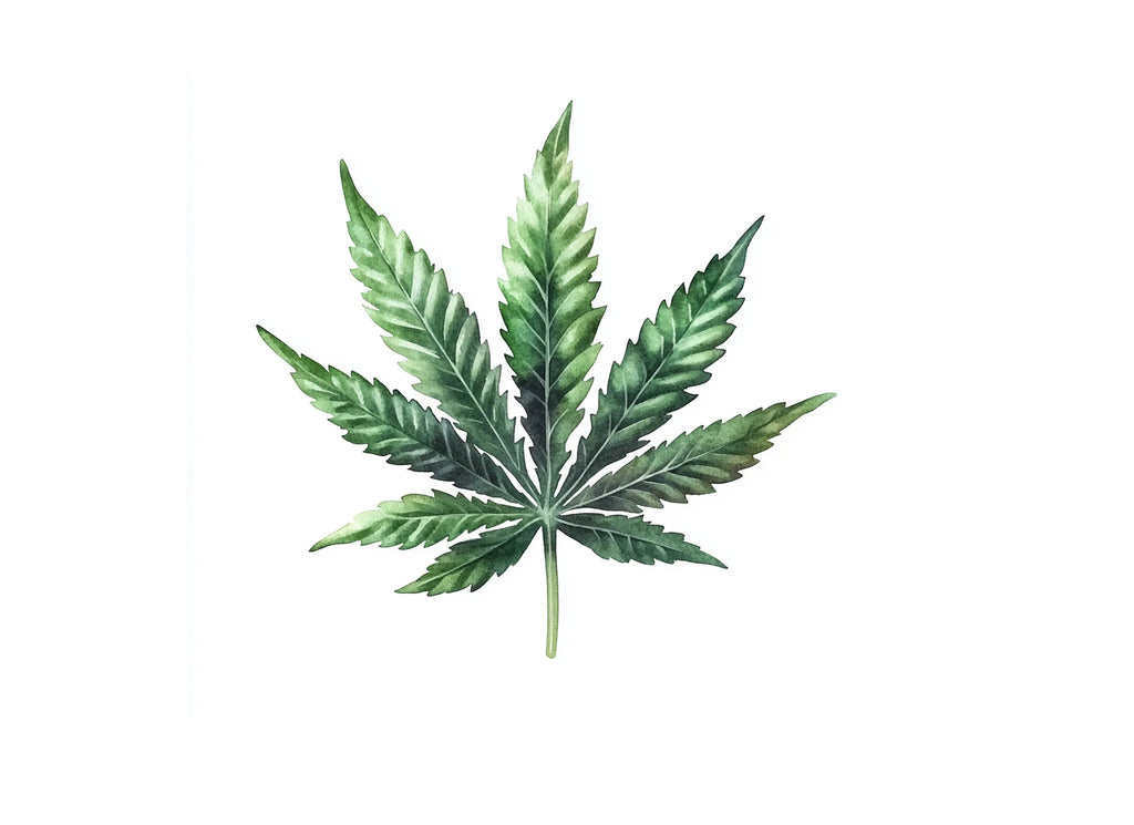 Vibrant Green Marijuana Leaf Clipart Bundle