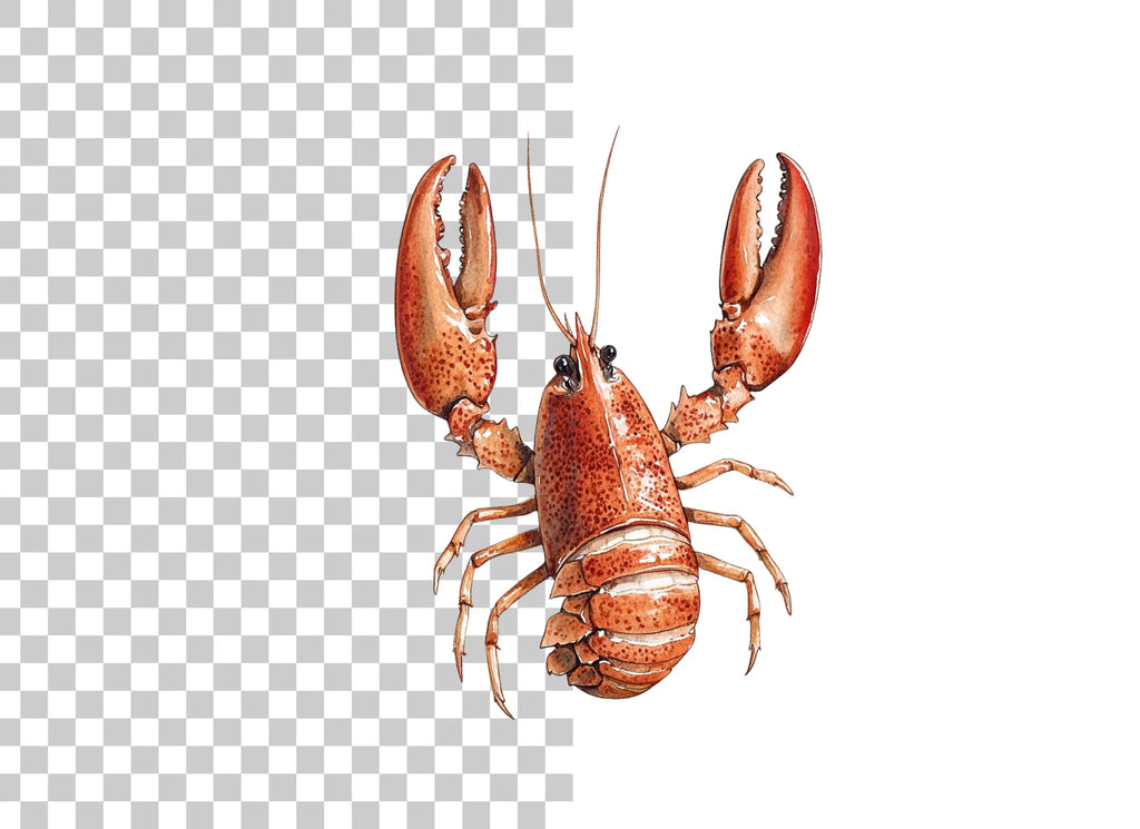 Detailed Lobster Clipart Bundle
