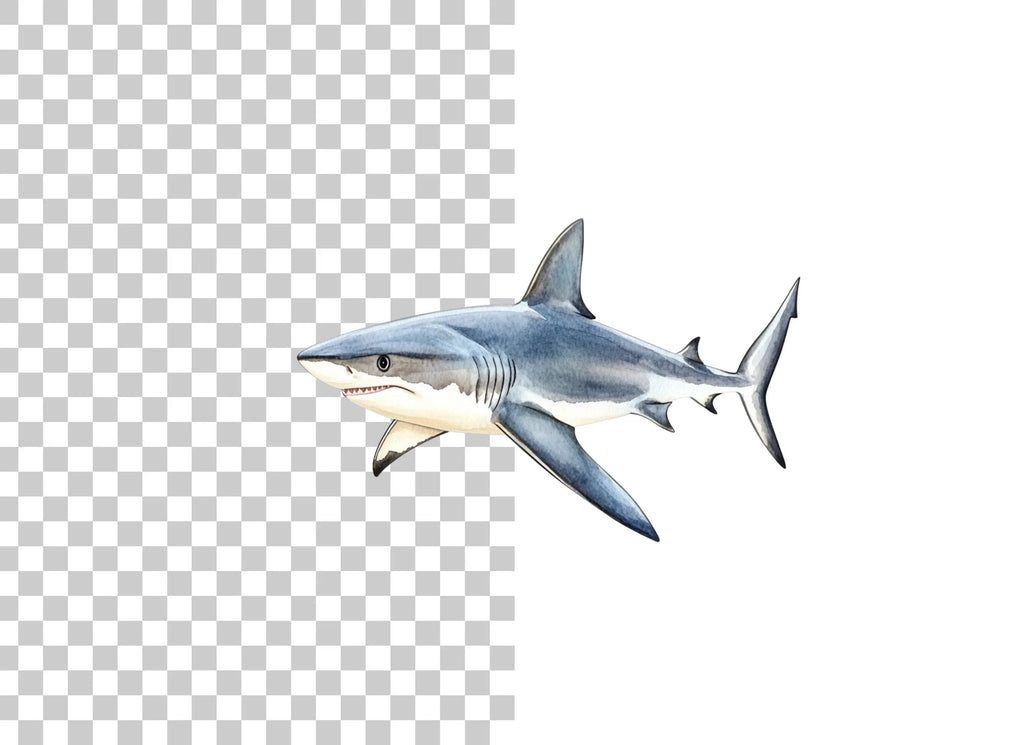Realistic Shark Clipart Bundle