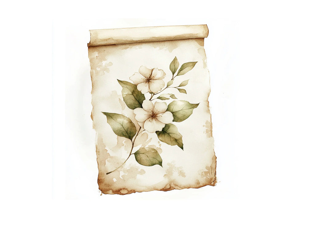 Vintage Floral Scroll Clipart Bundle