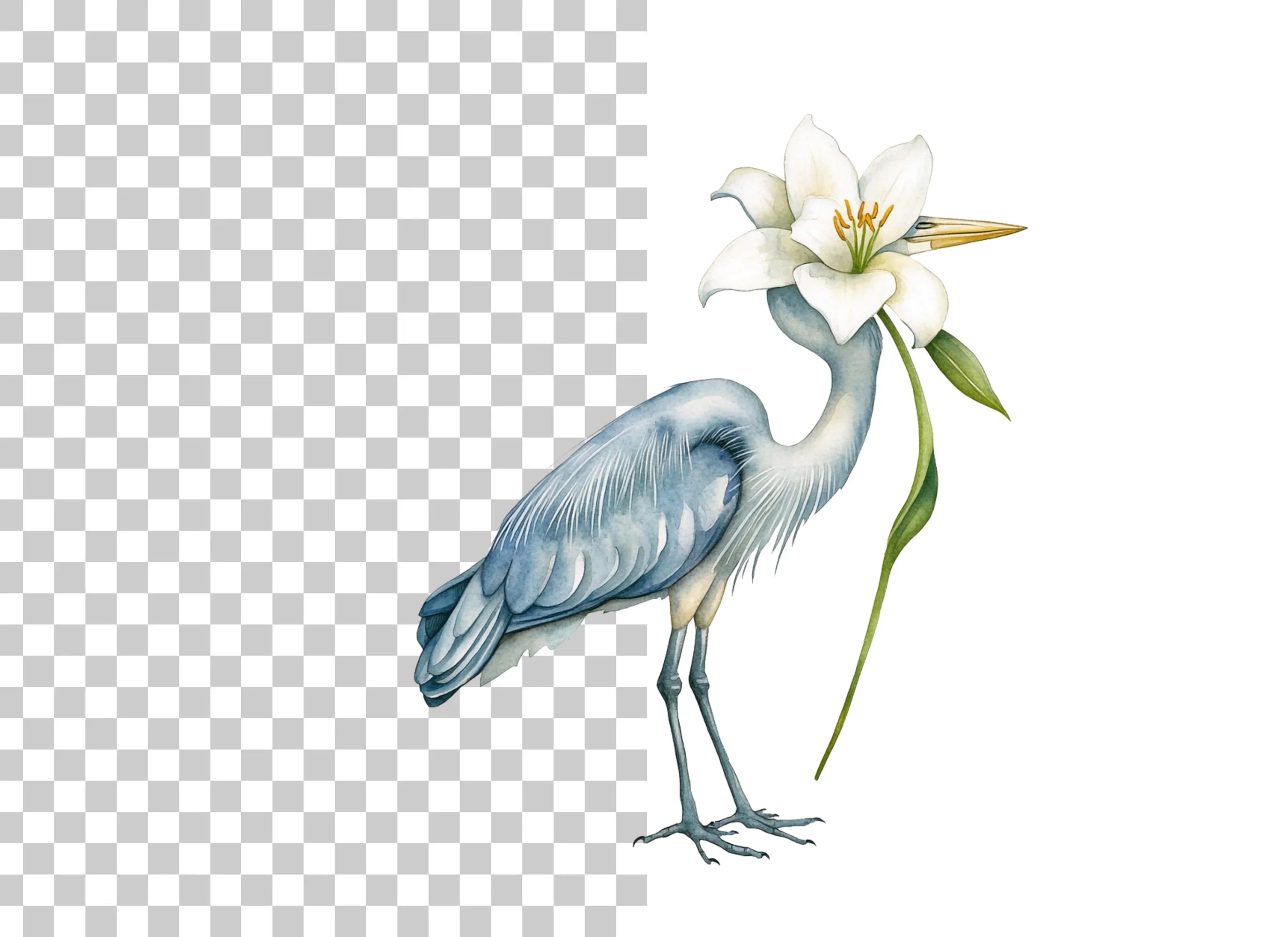 Heron with White Lily Flower Clipart Bundle