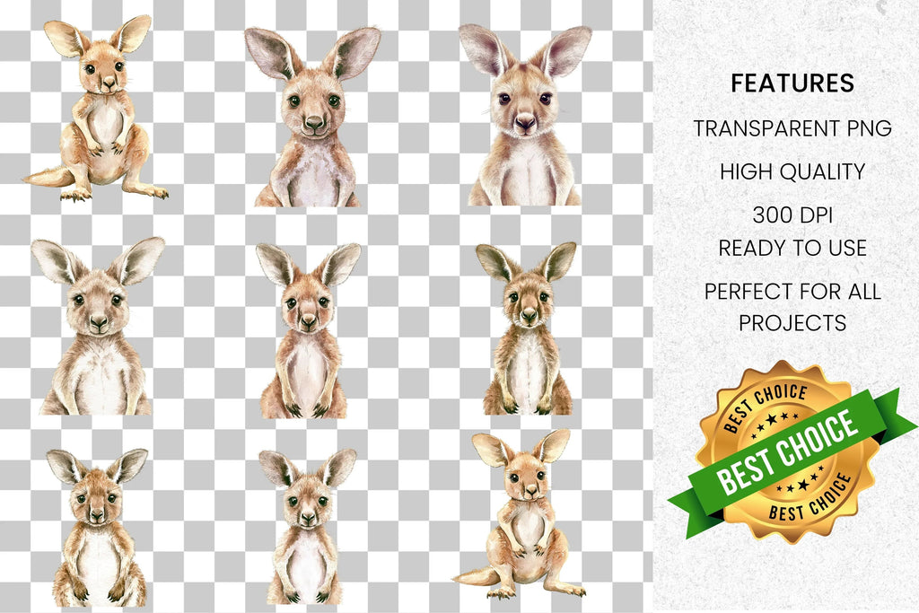 Cute Baby Kangaroo Clipart Bundle