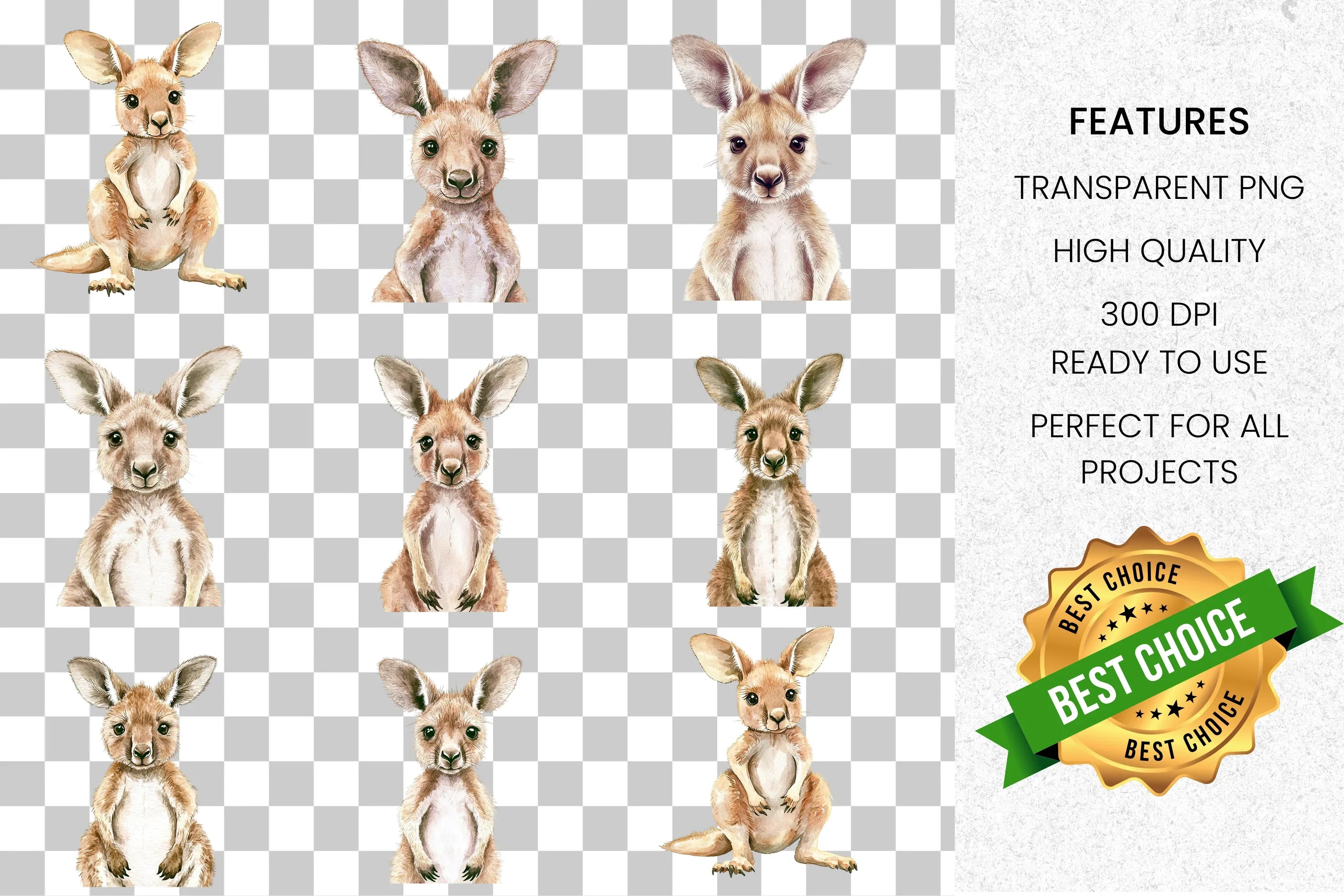 Cute Baby Kangaroo Clipart Bundle
