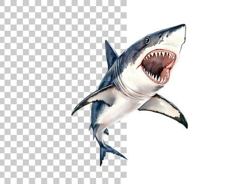 Aggressive Shark Jaws Clipart Bundle