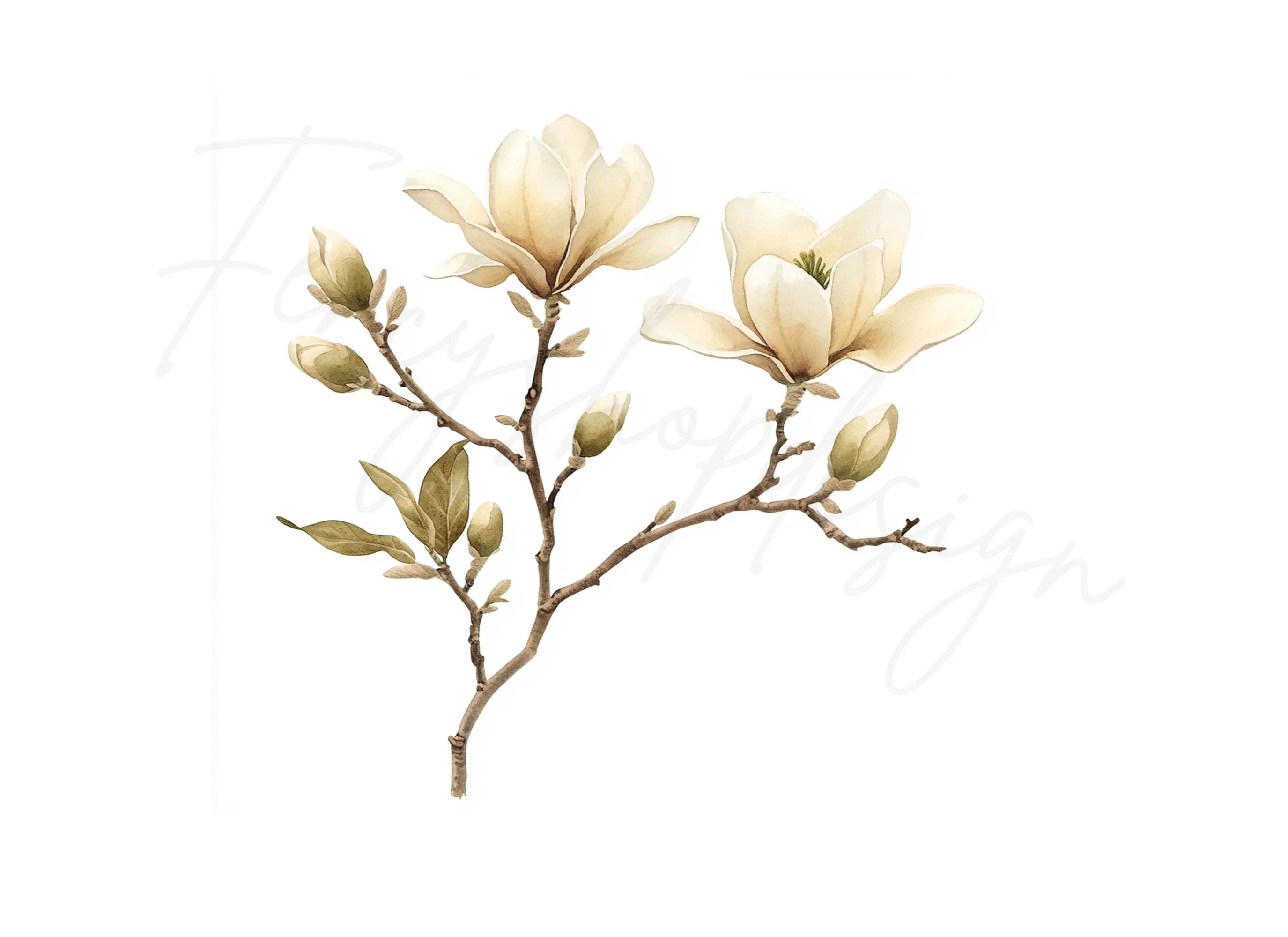 Magnolia Flower Clipart Bundle
