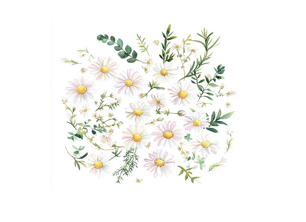 Daisy and Greenery Clipart Bundle