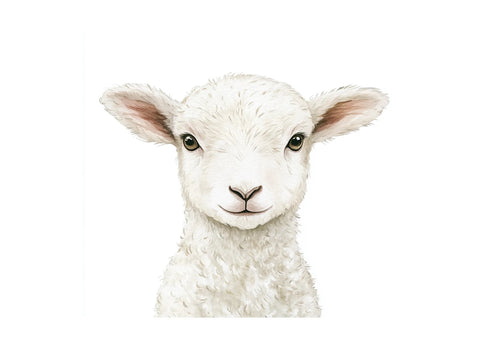 Adorable Lamb Faces Clipart Bundle