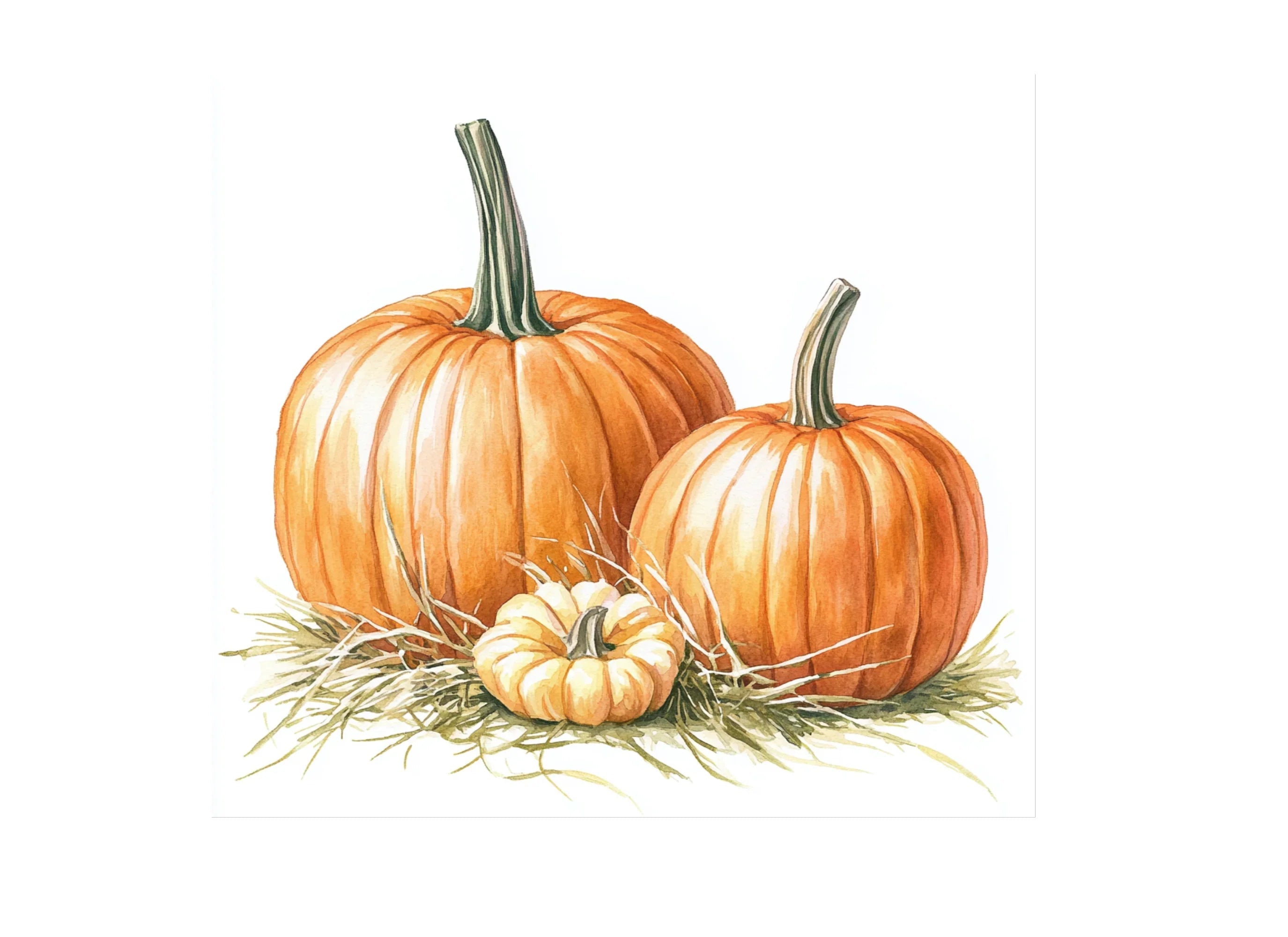 Pumpkin Clipart Bundle
