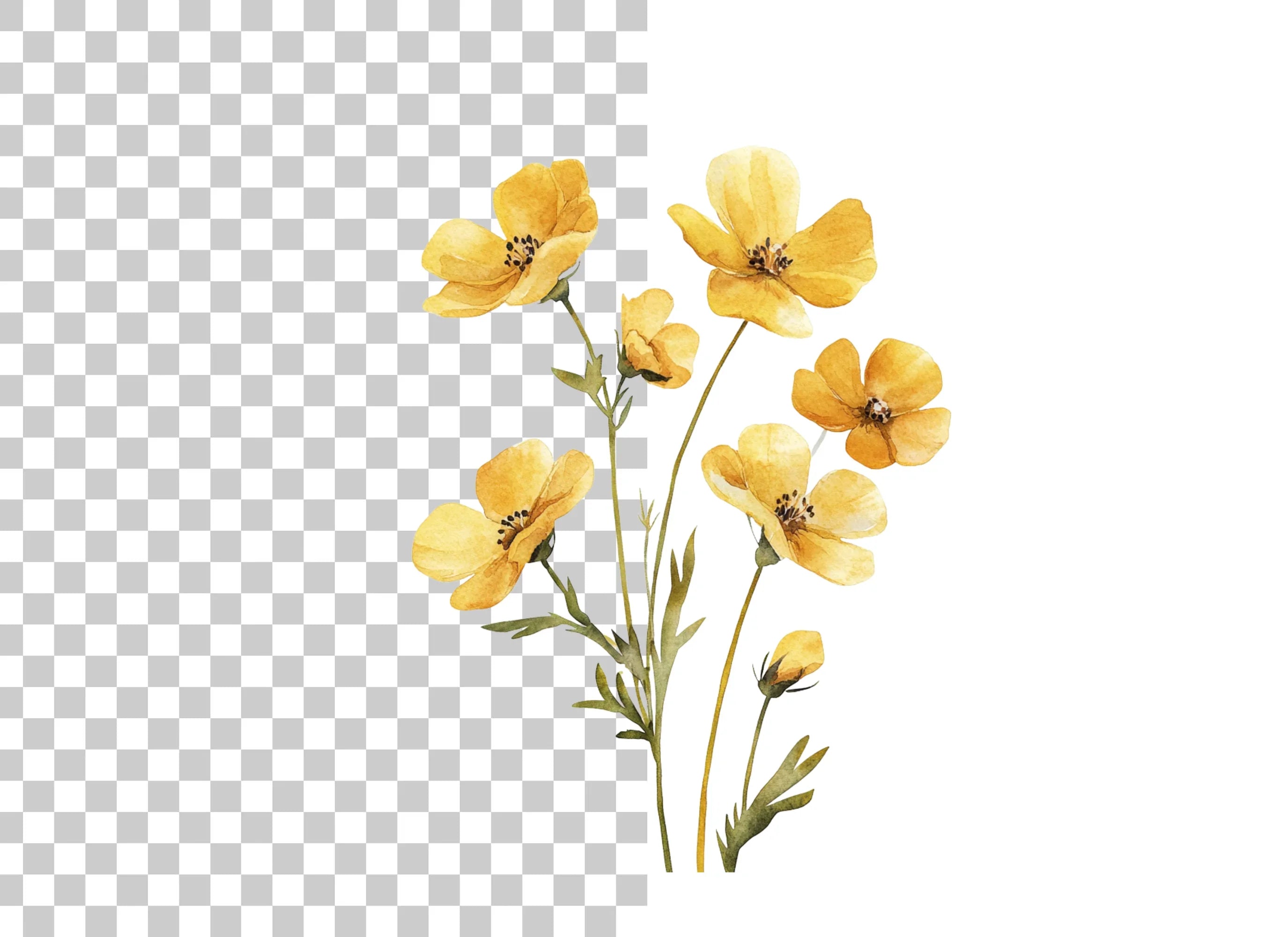 Yellow Wildflowers Clipart Bundle
