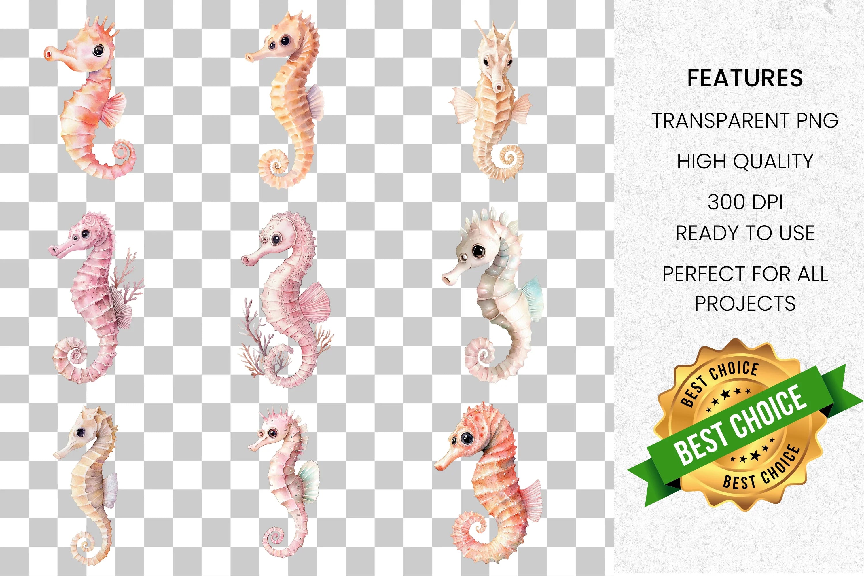 Cute Seahorse Clipart Bundle