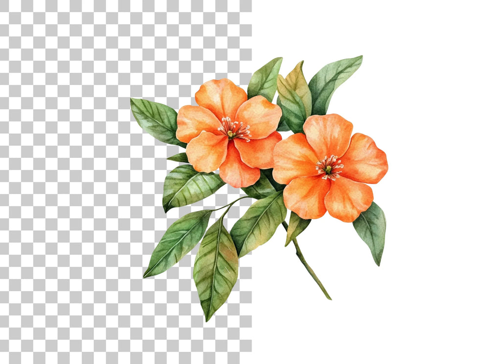 Orange Floral Clipart Bundle