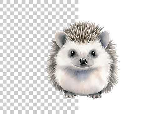 Adorable Hedgehog Clipart Bundle