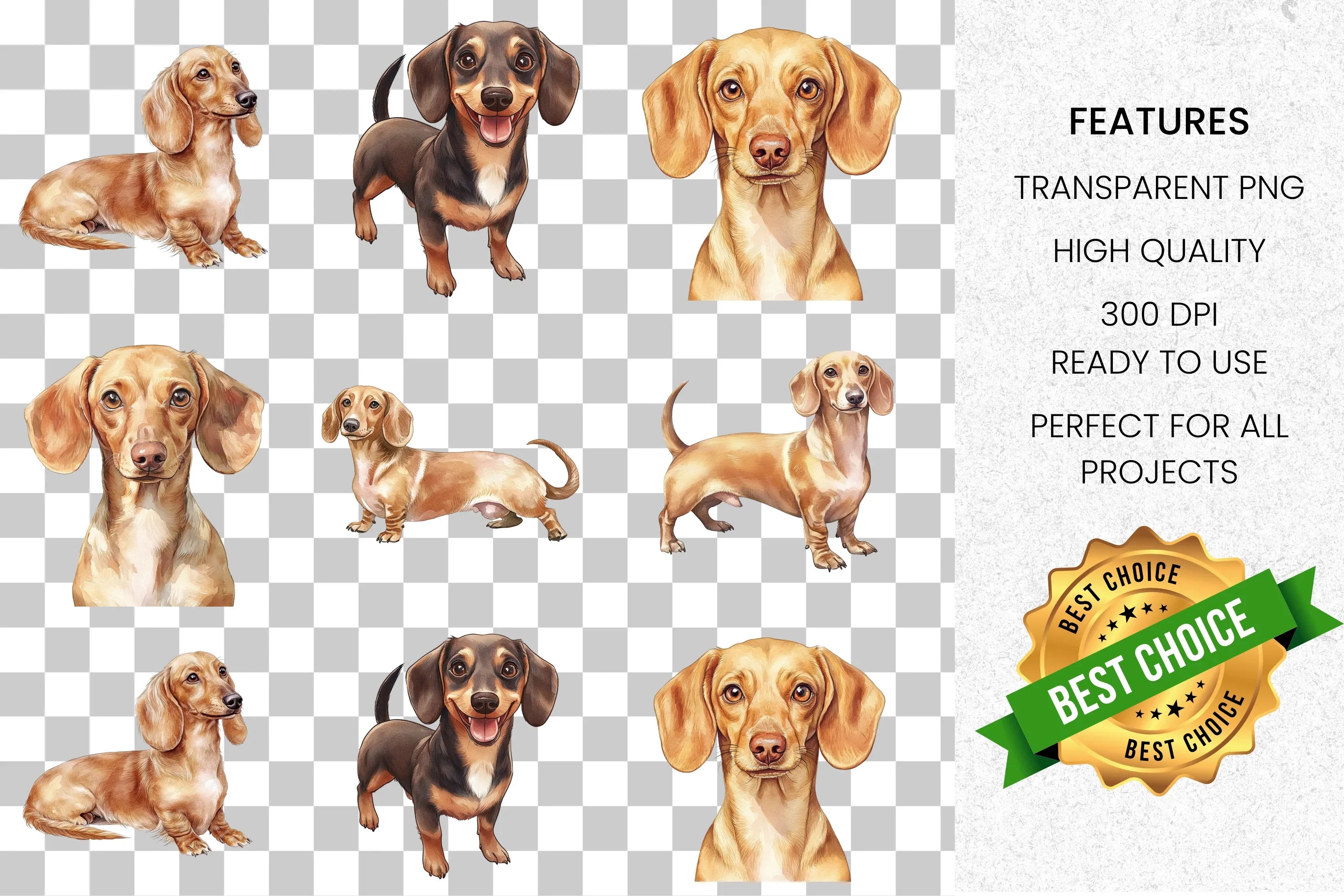 Adorable Dachshund Dog Clipart Bundle