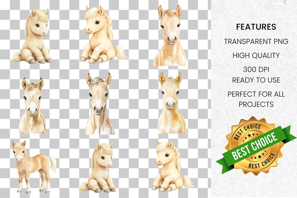 Cute Baby Horse Foal Clipart Bundle