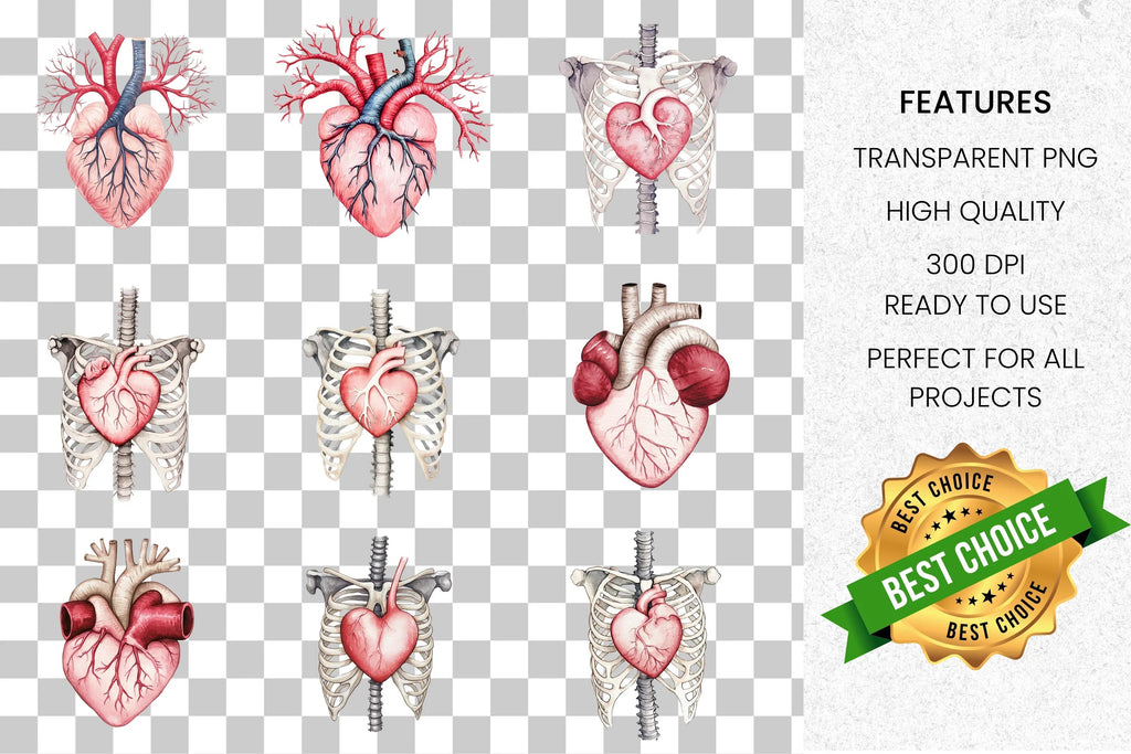 Anatomical Human Heart Clipart Bundle
