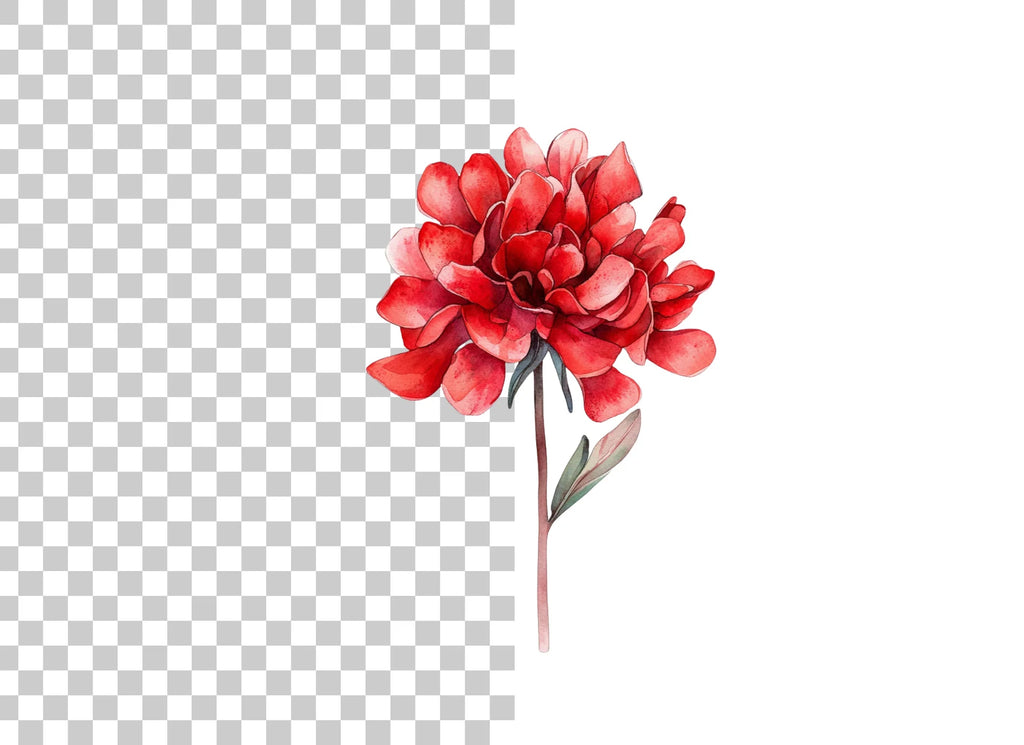 Stunning Red Peony Clipart Bundle