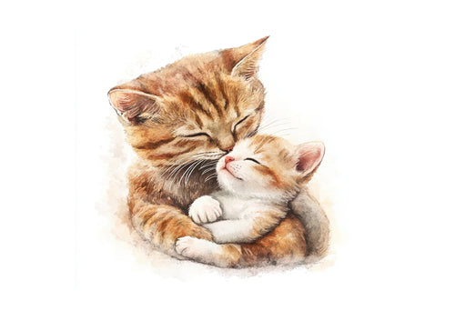 Adorable Cat Family Clipart Bundle