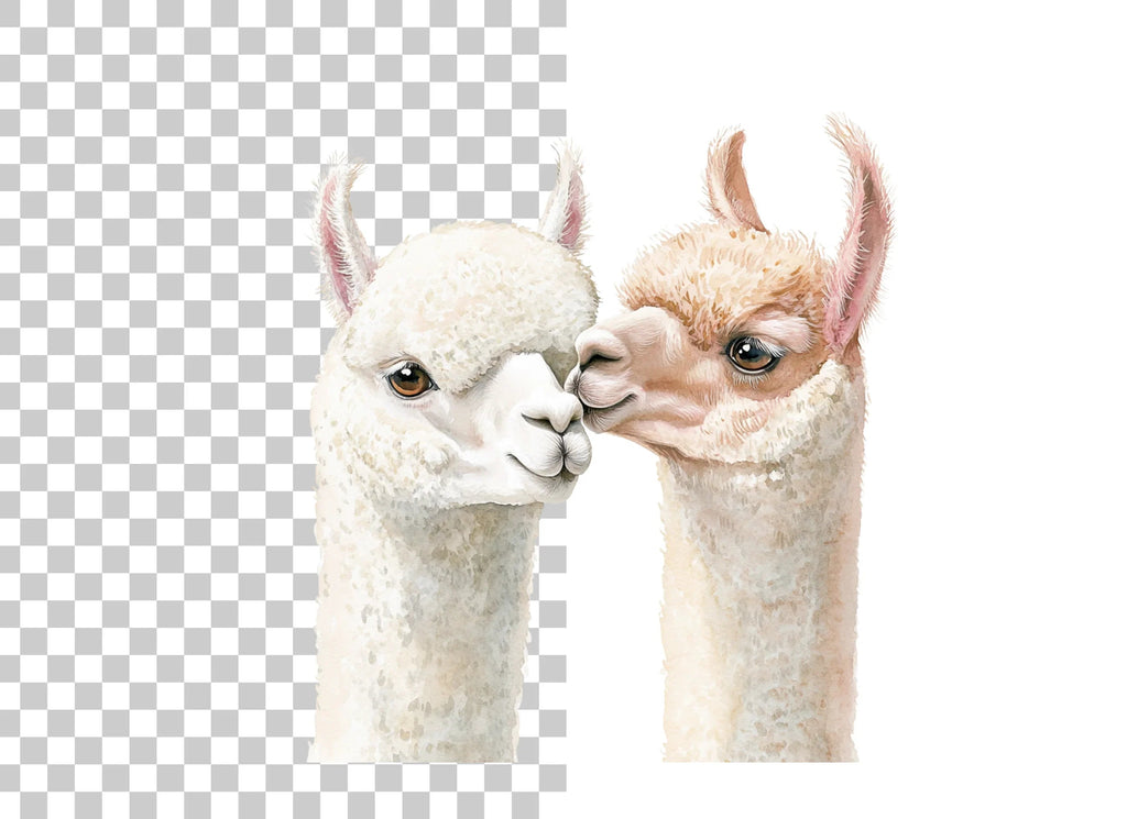 Sweet Llama Couple Love Clipart Bundle