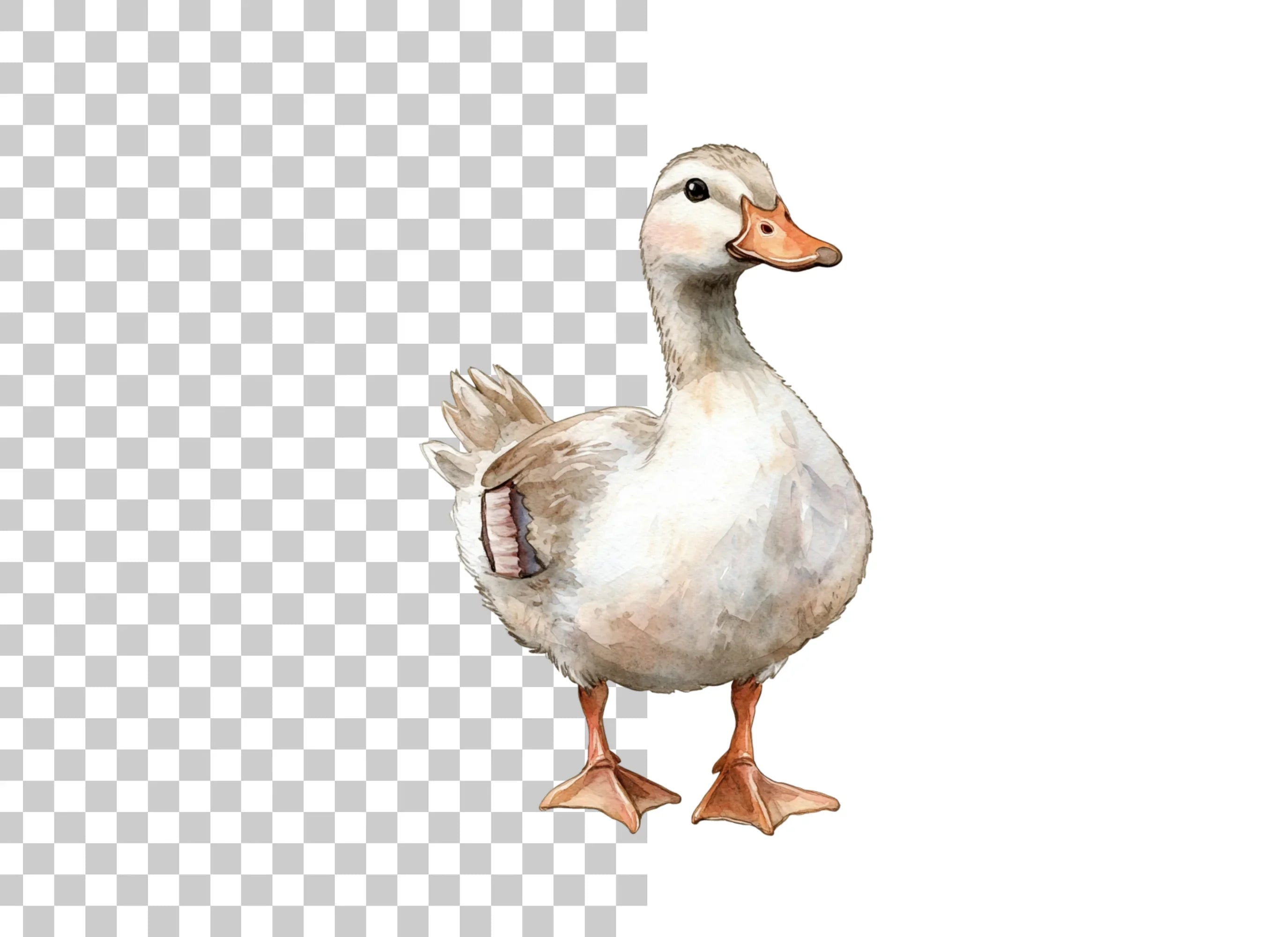 Adorable Goose Clipart Bundle