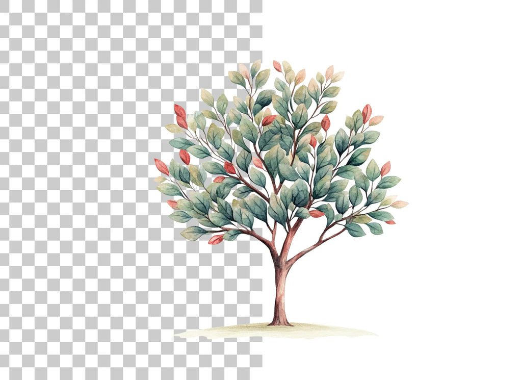 Green Tree Illustration Clipart Bundle