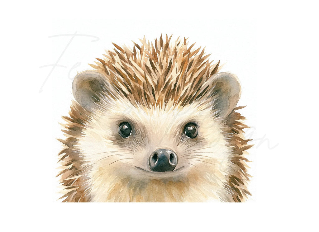 Cute Hedgehog Clipart Bundle