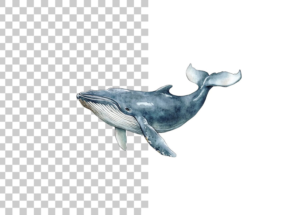 Blue Whale Clipart Bundle