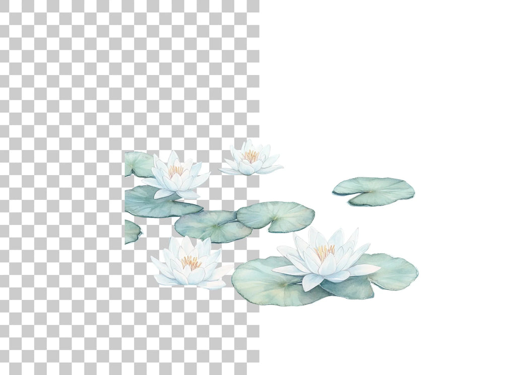 White Water Lilies and Pads Clipart Bundle