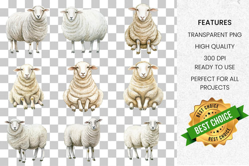 Adorable Farm Sheep Animal Clipart Bundle
