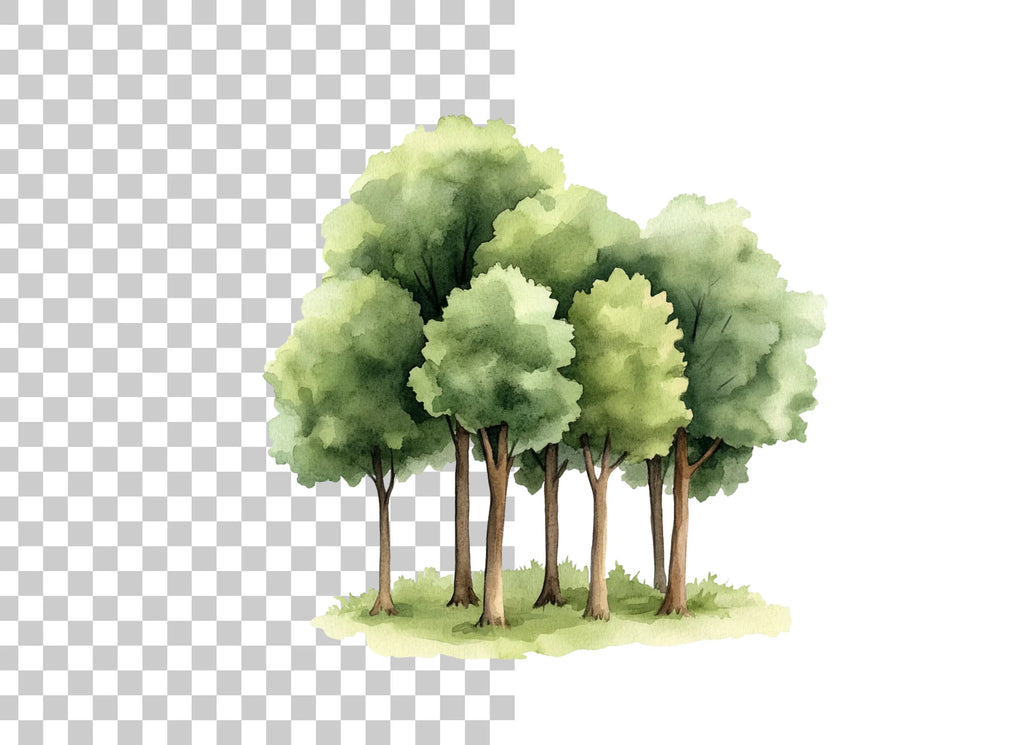 Forest Tree Group Clipart Bundle