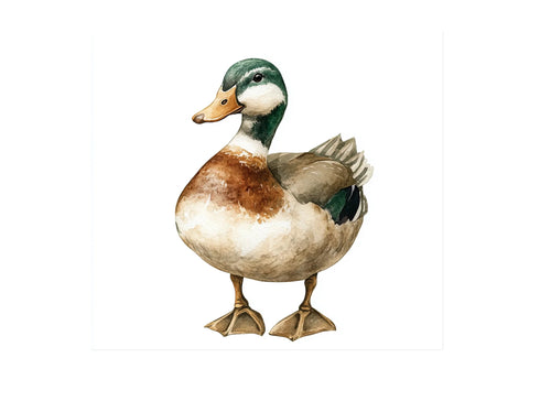 Adorable Duck Clipart Bundle