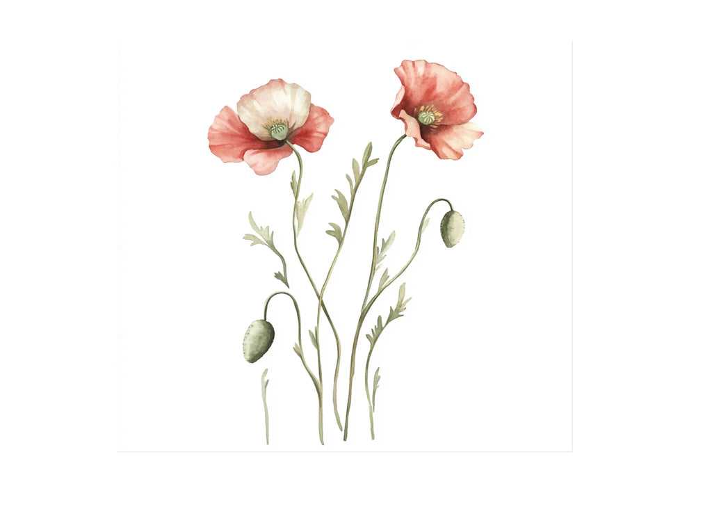 Poppy Clipart Bundle