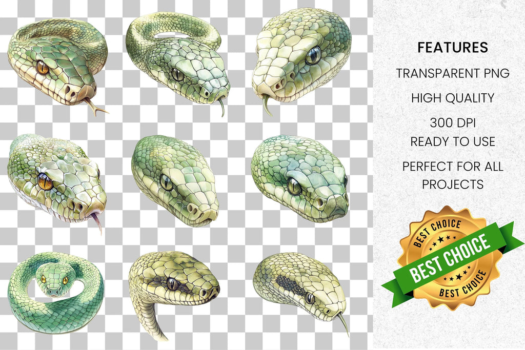 Realistic Snake Clipart Bundle