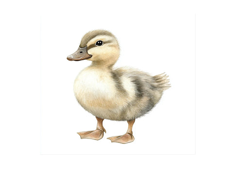 Adorable Duckling Clipart Bundle