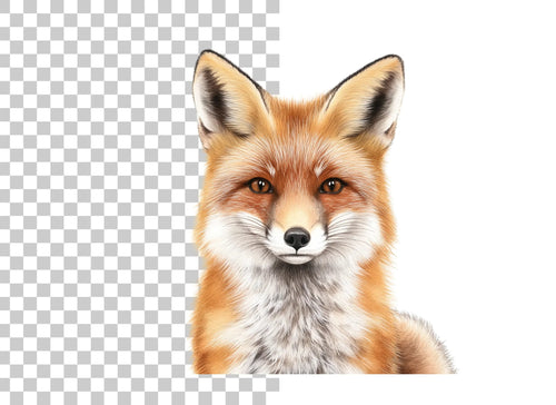 Adorable Fox Portraits Clipart Bundle