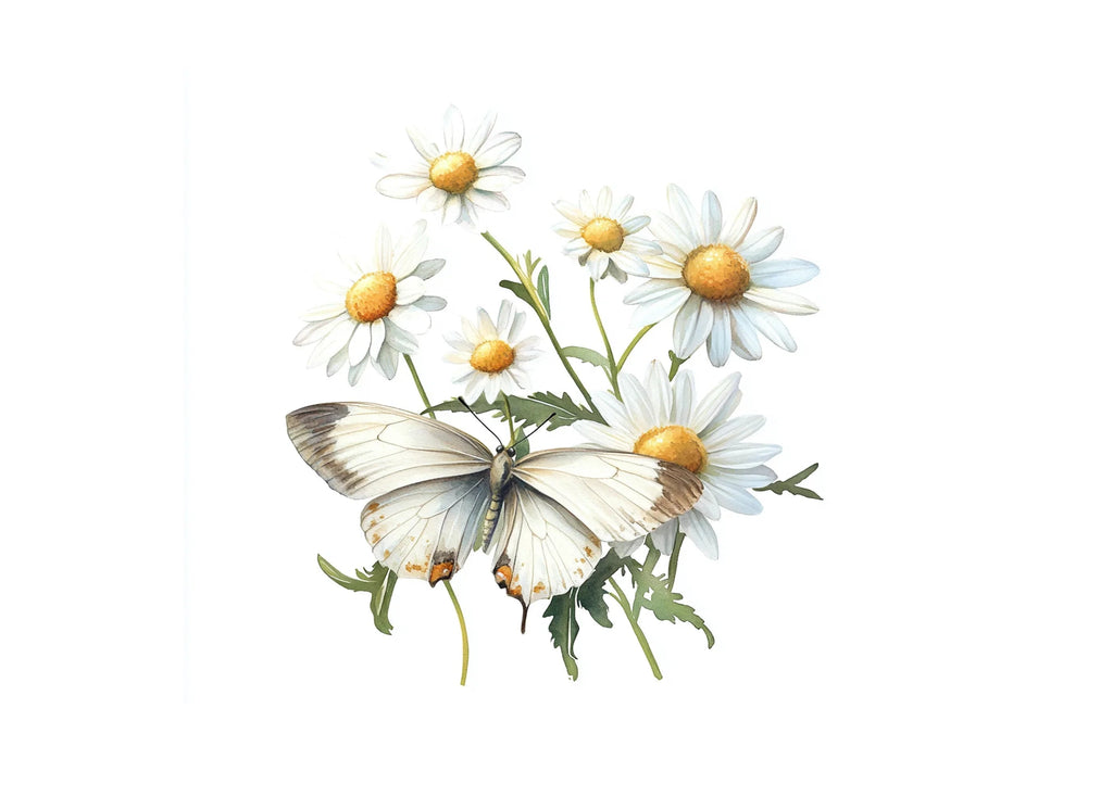 White Butterflies and Daisies Clipart Bundle