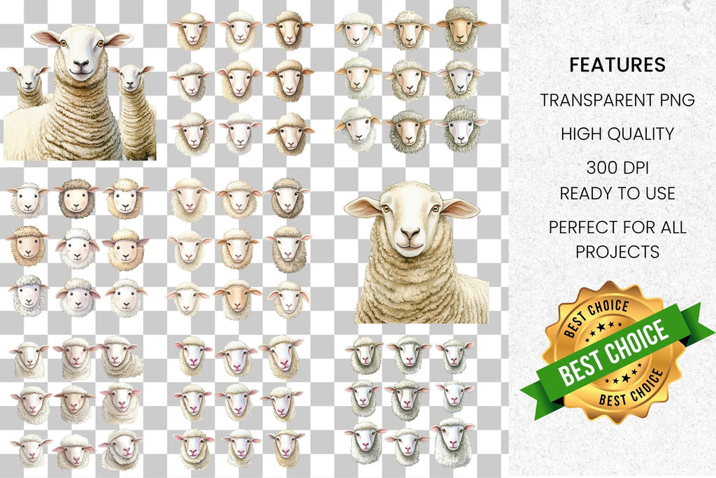 Sheep Clipart Bundle