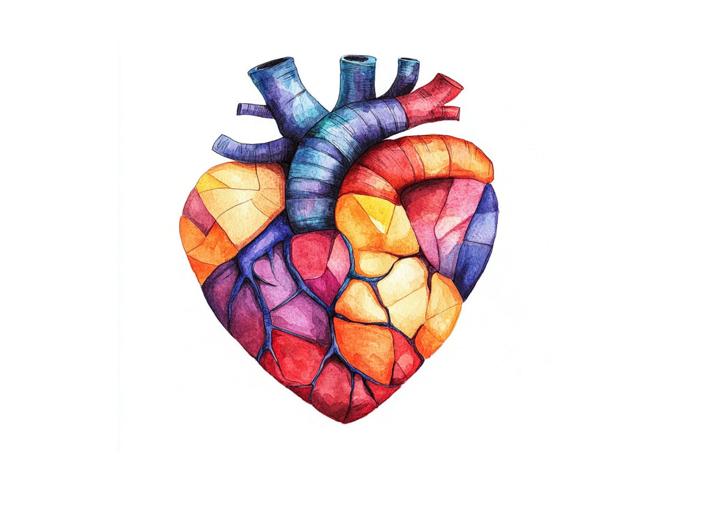 Geometric Anatomical Hearts Clipart Bundle