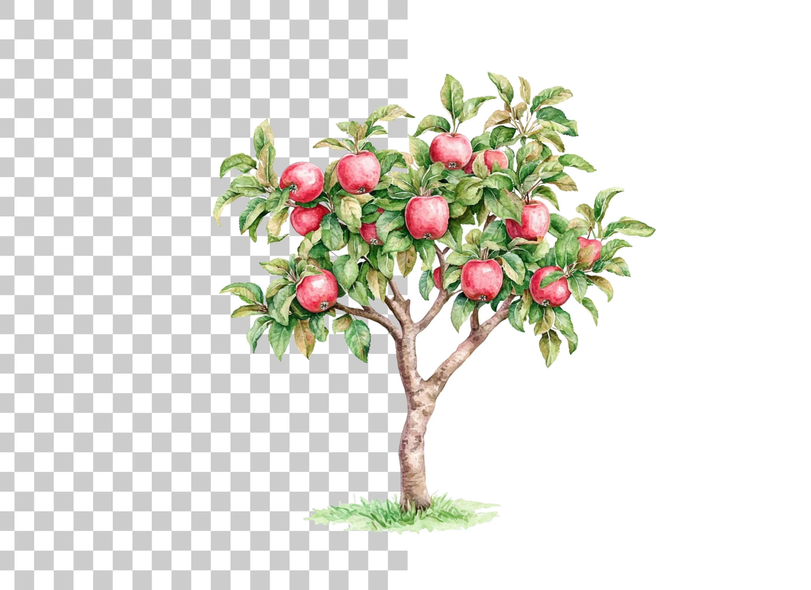 Apple Tree Clipart Bundle