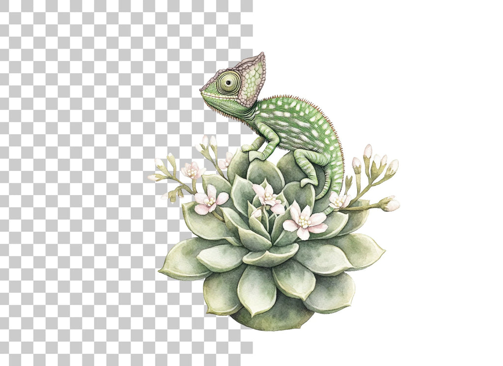 Chameleon on Succulent Clipart Bundle