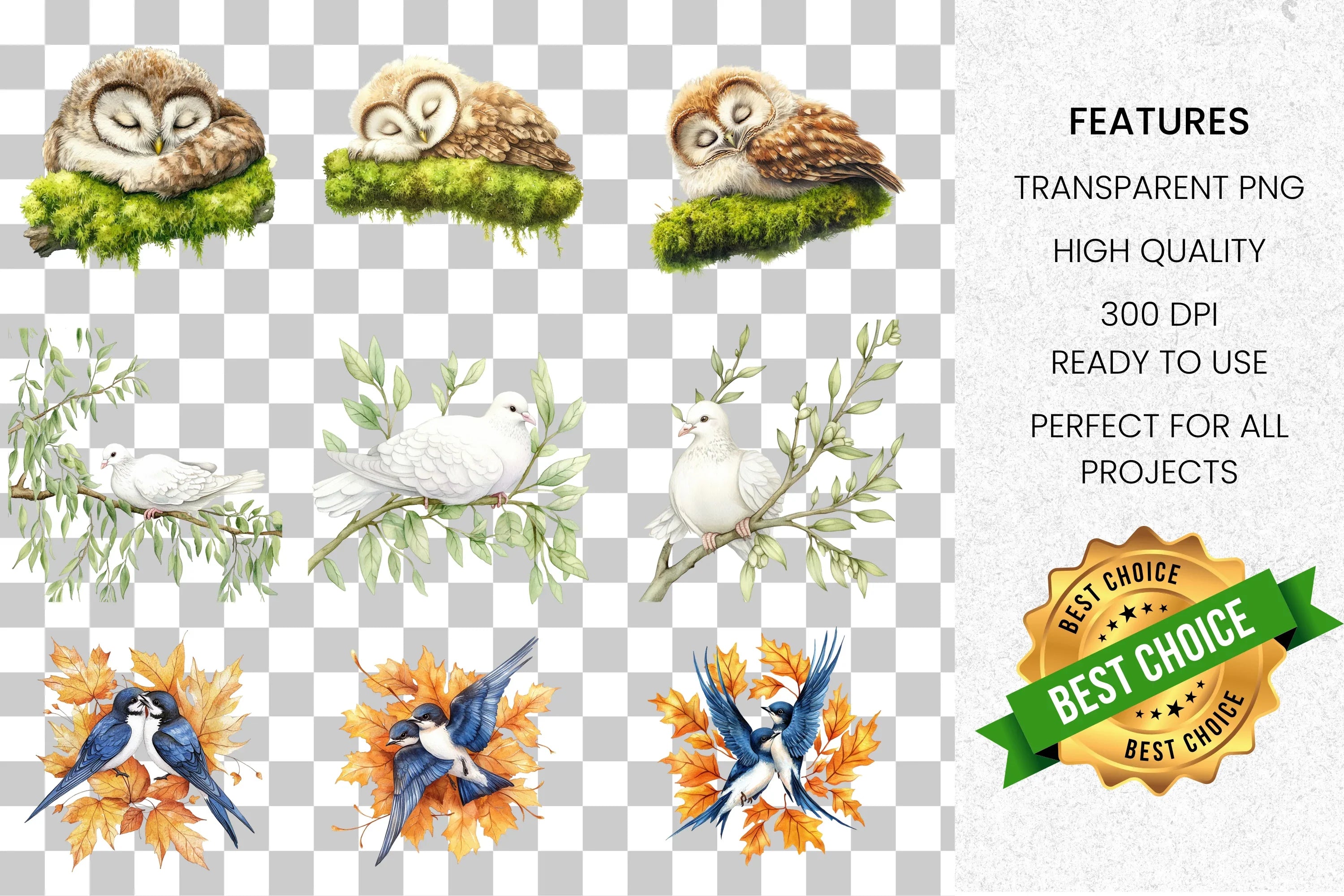 Charming Bird Clipart Bundle for Crafts