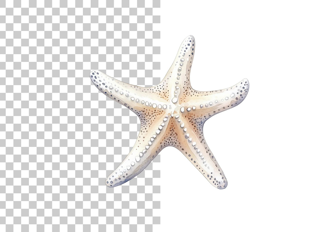 White Starfish Clipart Bundle