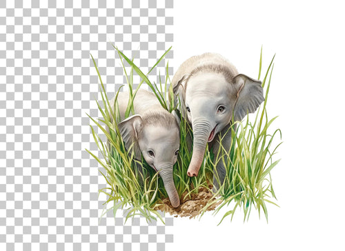 Adorable Baby Elephant Duo Clipart Bundle