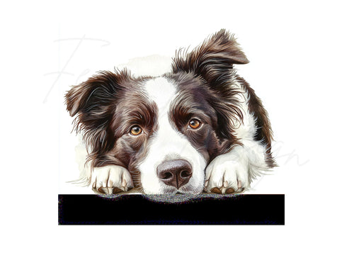 Adorable Border Collie Dog Clipart Bundle