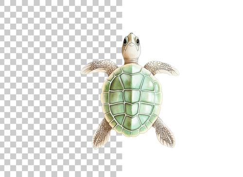 Adorable Baby Sea Turtle Clipart Bundle