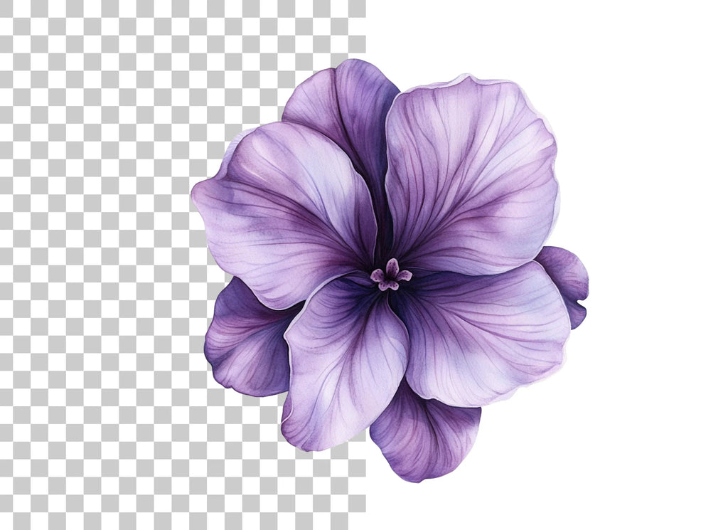 Vibrant Purple Geranium Clipart Bundle