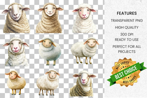 Adorable Sheep Clipart Bundle